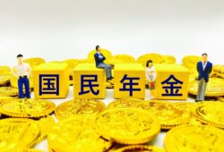 国民年金に対する私見
